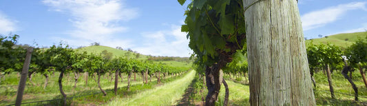 CELEBRATING AUSTRALIA’S NATIONAL DAY WITH THE BEST AUSTRALIAN WINES