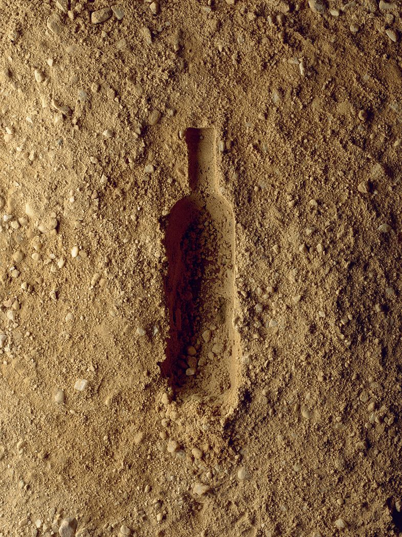 Wine_bottle_Recycle_with_soil_20250923